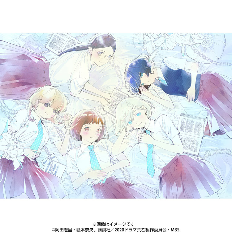 荒ぶる季節の乙女どもよ。／DVD-BOX（送料無料・4枚組） | TBS