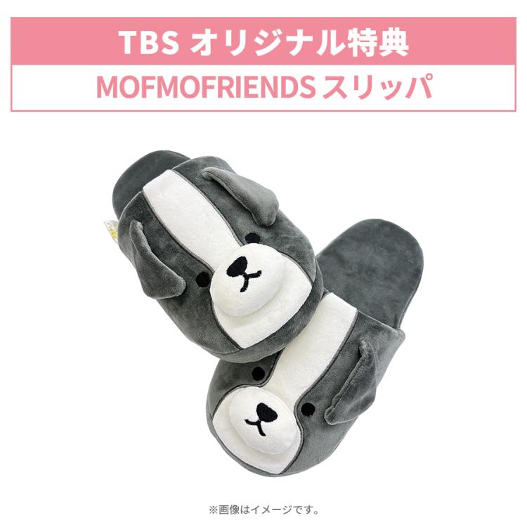 火曜ドラマ『西園寺さんは家事をしない』／Blu-ray BOX（TBSオリジナル