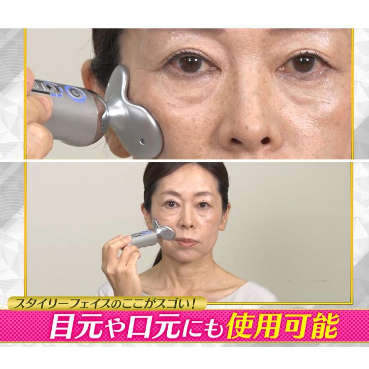 スタイリーフェイス美顔器dinos スタイリーフェイス美顔器 dinos