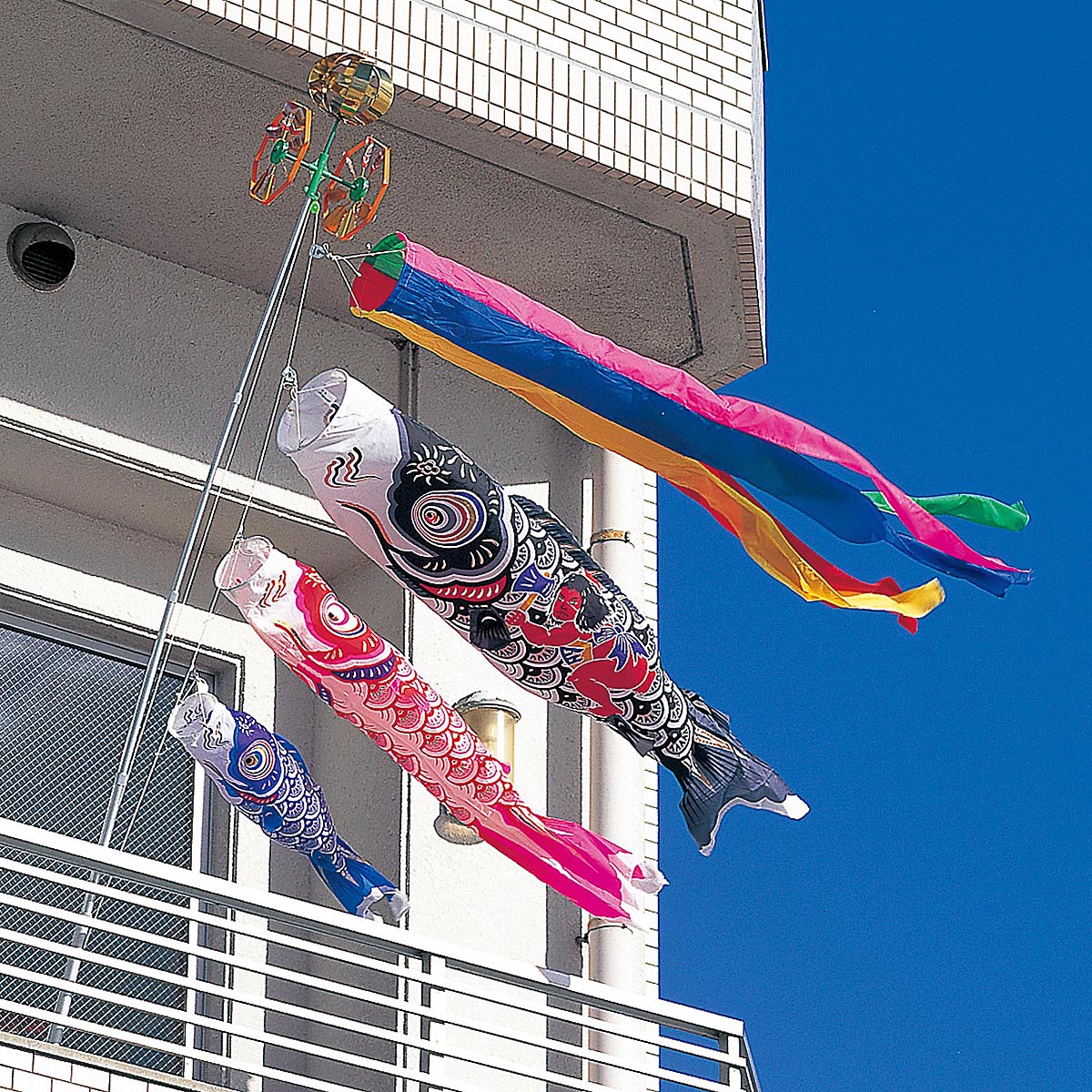 こいのぼり 太郎鯉」の人気商品一覧 | 安い商品を通販サイトから探す