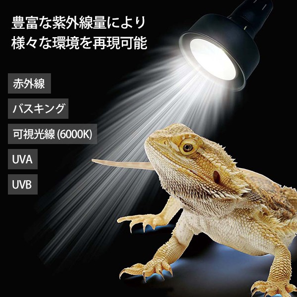 ゼンスイ ソラリウム メタルハライドランプ 50Wセット (HIDランプ＋