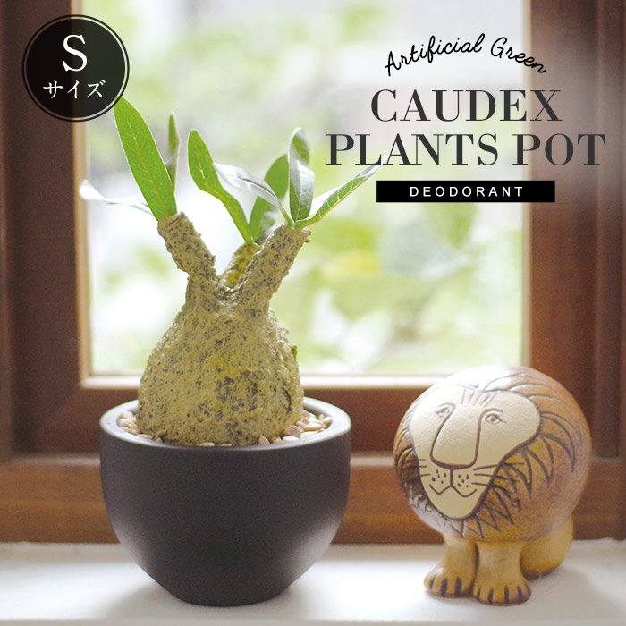 CT触媒 コーデックスS 塊根植物 多肉植物 おしゃれ フェイクグリーン
