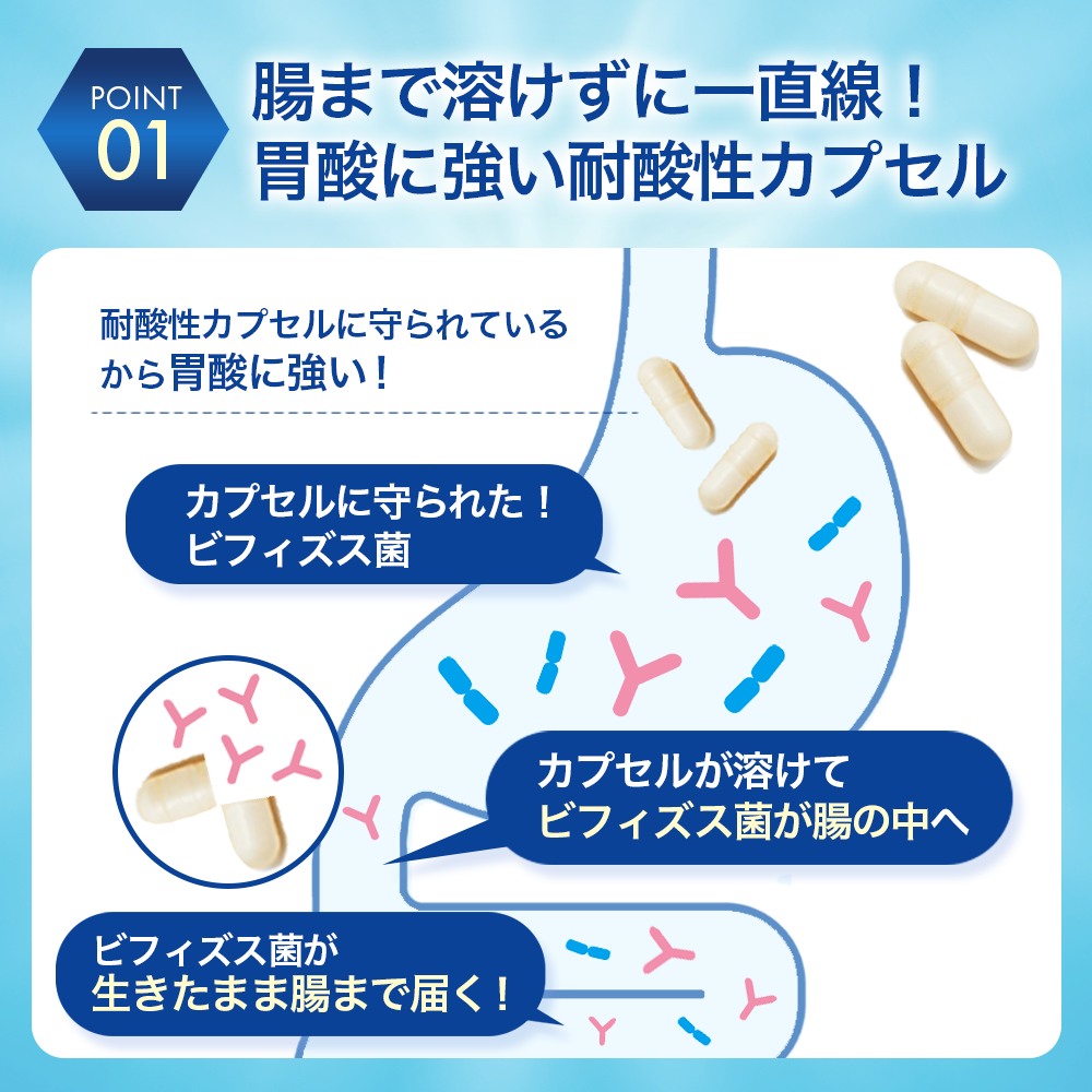 ビヒダス 便通改善 腸内環境【公式】森永乳業 ビフィズス菌 乳酸菌