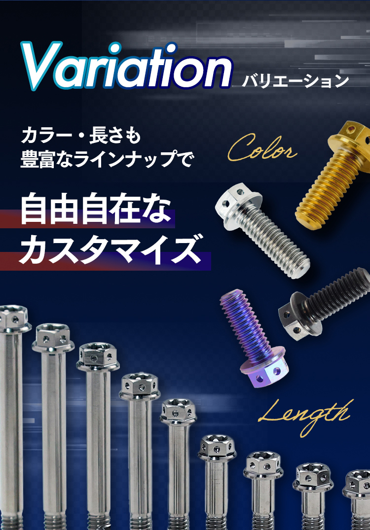 ▽NSR50 AC10 チタンボルトセット クラッチエンジンカバー レース