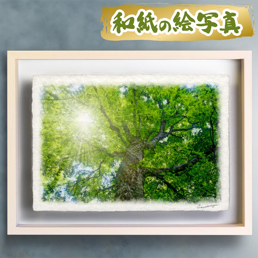 風水 玄関 絵画 絵 インテリア アートパネル 風景画 木 森 夏 緑 和紙