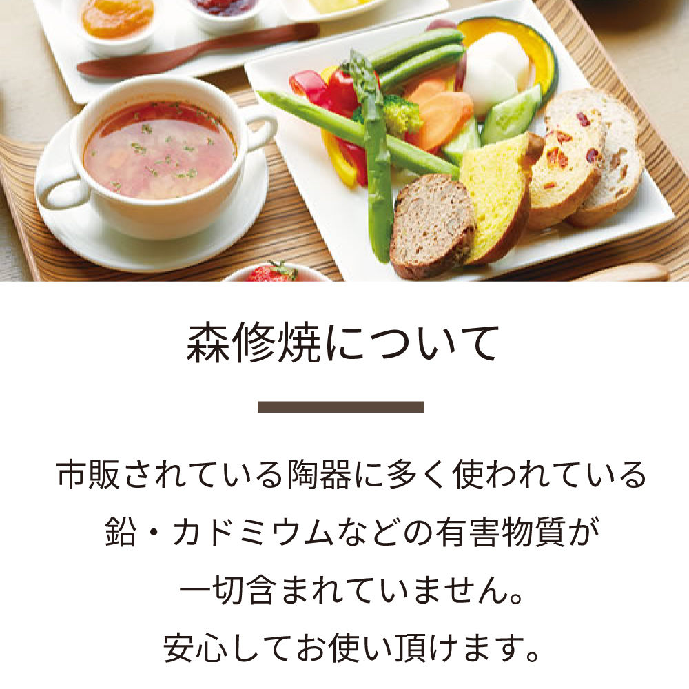 森修焼（しんしゅうやき） 食器 ポット型急須 陶器 シンプル 白色 遠