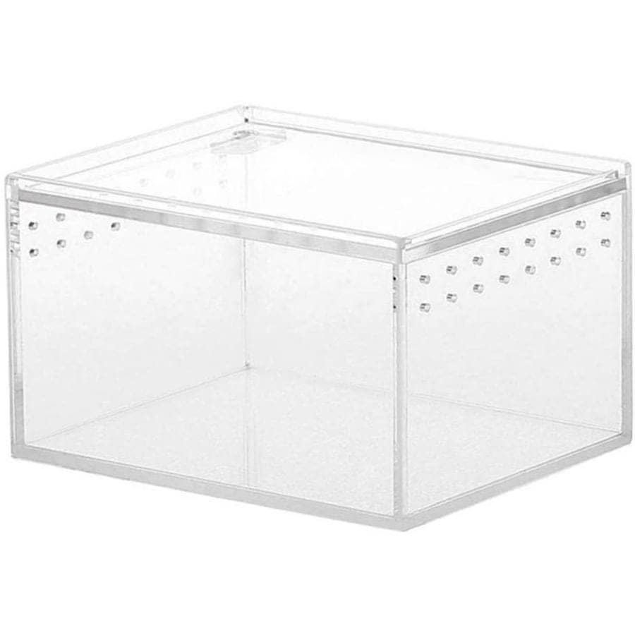 爬虫類 飼育ケース 30×30×30 ガラス 昆虫飼育ケース クモ サソリ