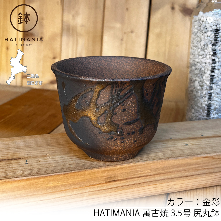 HATIMANIA 鉢マニア 金彩 3号 六平 3.5号 尻丸 ラッパ 浅型 日本製