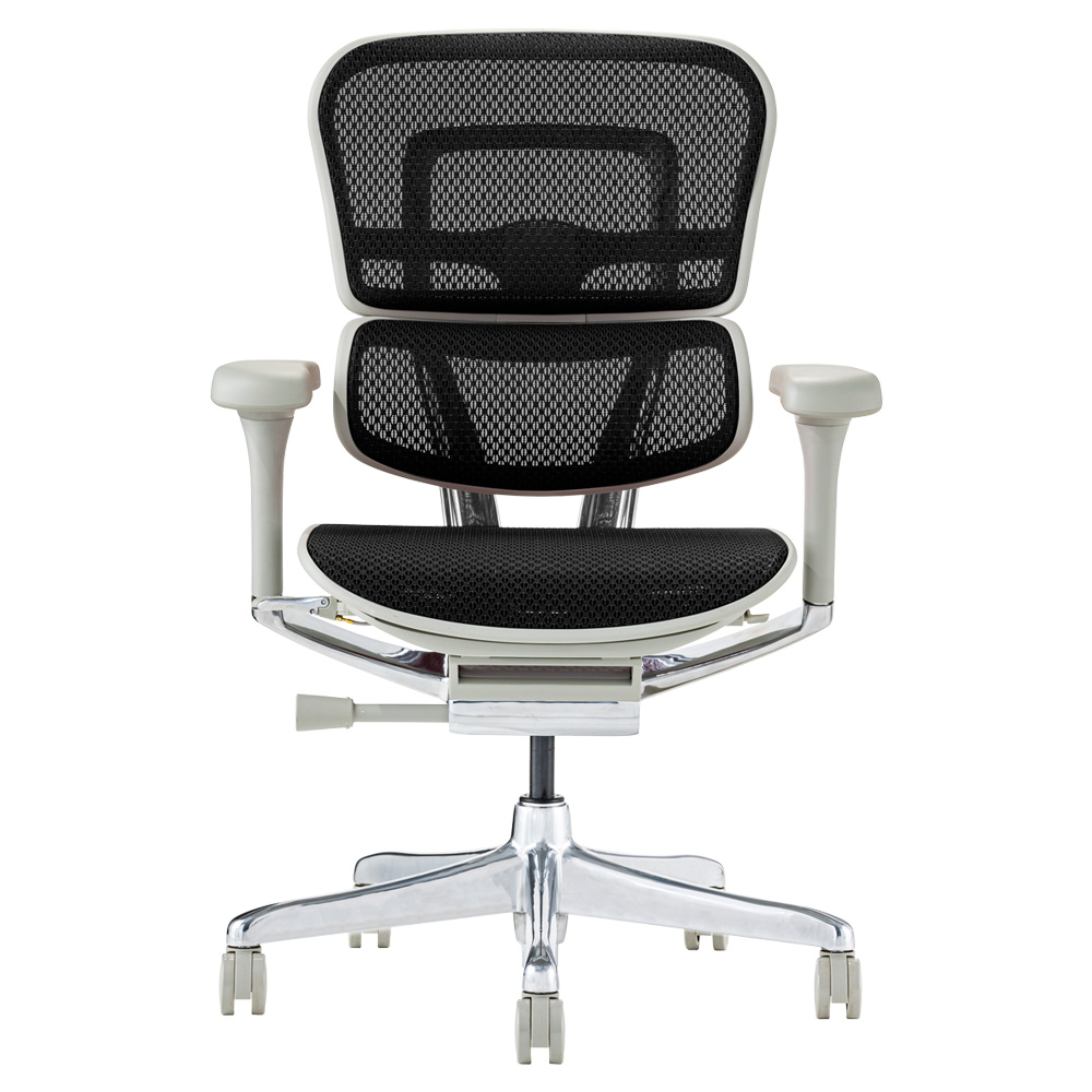 エルゴヒューマン（Ergohuman） プロ2 ヘッドレスト無し 梱包材を無料