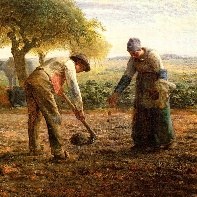 ハンカチ ミレー 全15種 マイクロファイバー製 : orieoriginal - 通販