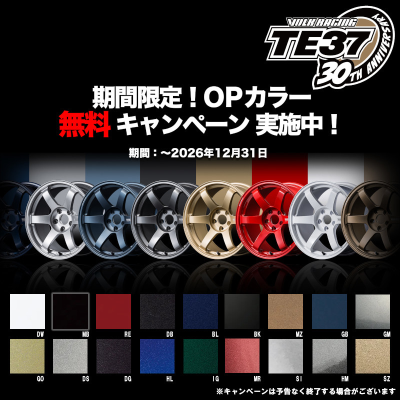 RAYS (1本価格) 15インチ 6.0J 4/100 レイズ ボルクレーシング TE37