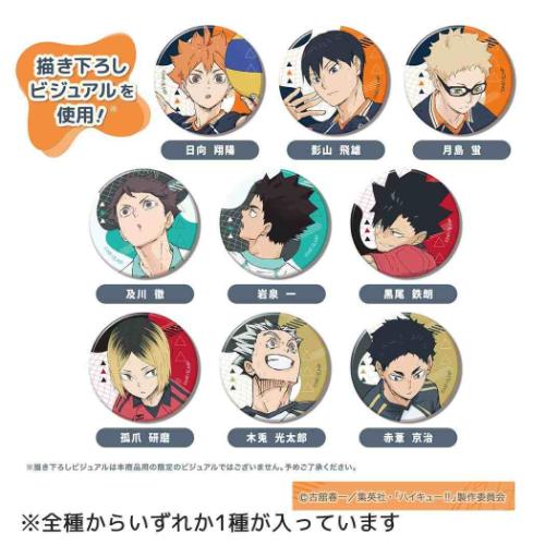 缶バッジ カンバッジコレクション Vol.2 全9種の内どれか1個