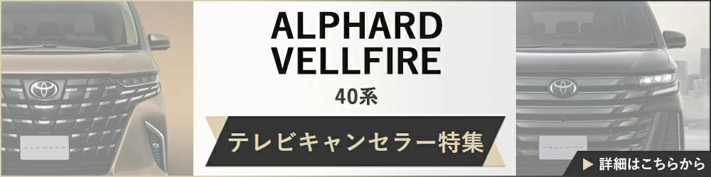 Data System（データシステム） テレビキット TTV443B-D ビルトイン