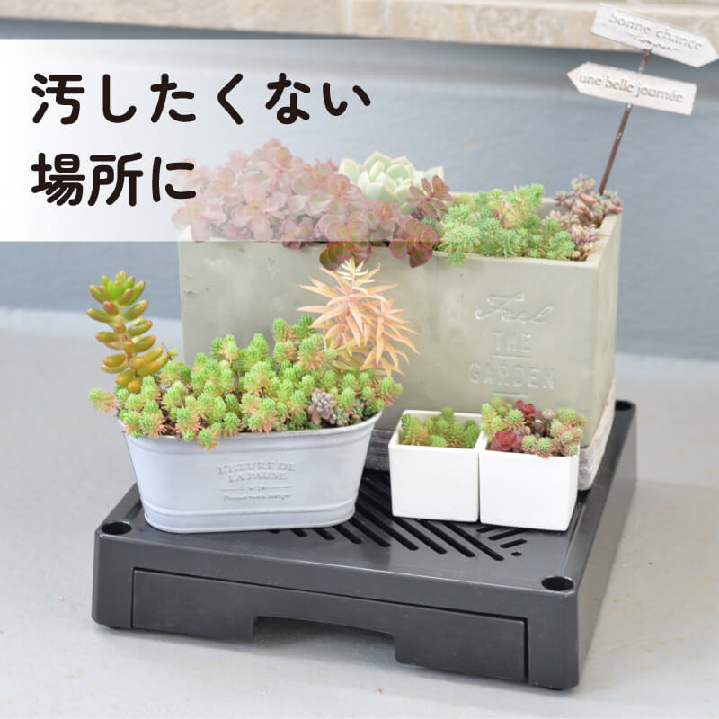 DAIM どこでもブラックベース 24cm 排水トレイ付き 水受け付き 鉢