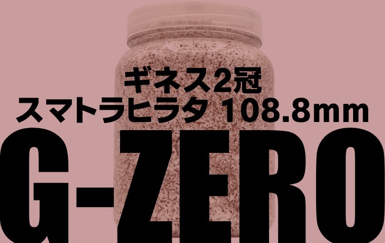 G-ZERO ブロック 即効肥大 dda クワガタ 菌糸ビン 菌糸瓶 幼虫 エサ