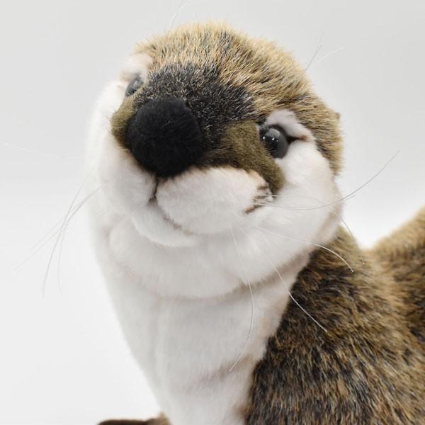 HANSA BH3319 カワウソ 獺 かわうそ ぬいぐるみ リアル : Dear Bear