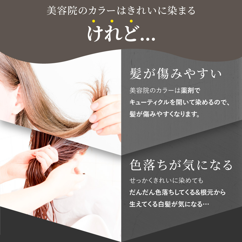 PICOMONTE（ピコモンテ） 白髪染め シャンプー 450g 2個セット カラー