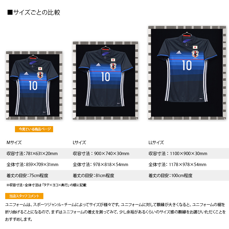 額縁専門店ないとう ユニフォーム額縁 ヴィクトリア Mサイズ（収容寸法