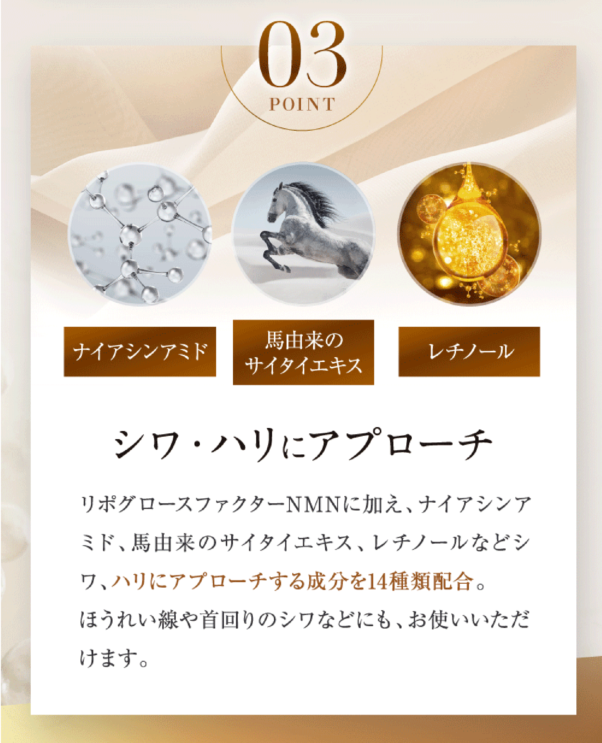 eLife [ 爆買 ] 美容液 エイジングケア NMN VITAL eL SERUM (バイタル