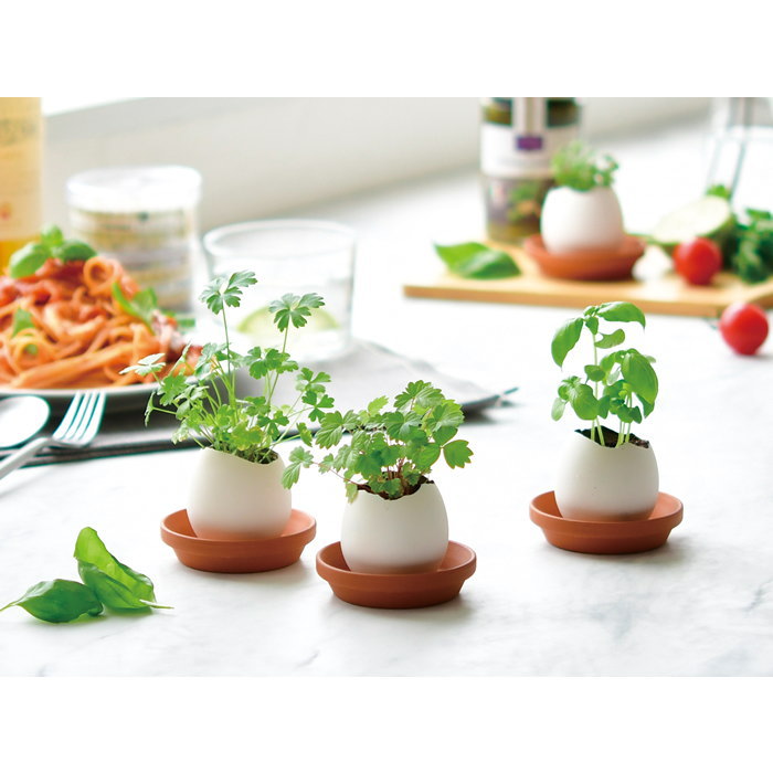 エッグリング クリアパッケージ ワイルドストロベリー 栽培セット 栽培