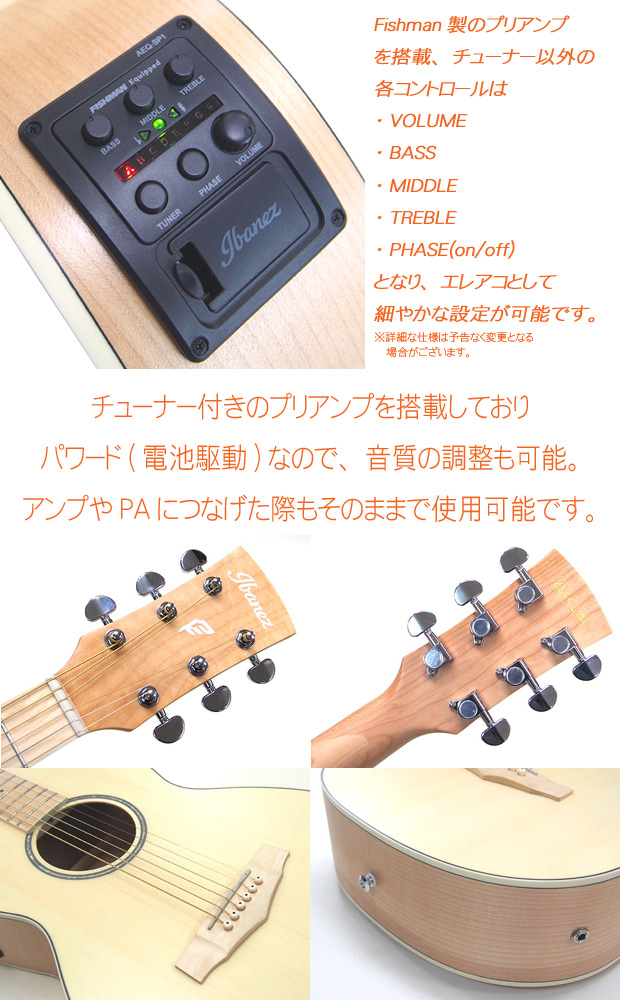 Ibanez（アイバニーズ） PN29E OPN エレアコ アコースティックギター