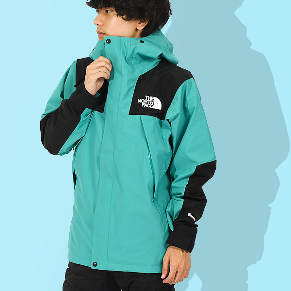 THE NORTH FACE（ザ ノースフェイス） ノースフェイス ゴアテックス