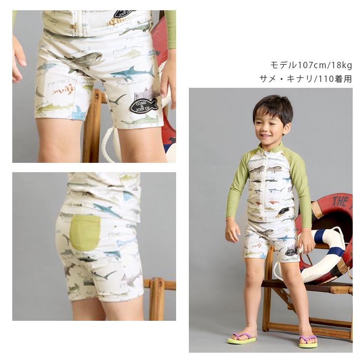 爆買 水着 ボクサー キッズ 男の子 スイムパンツ 切替 サメ柄 サメ図鑑