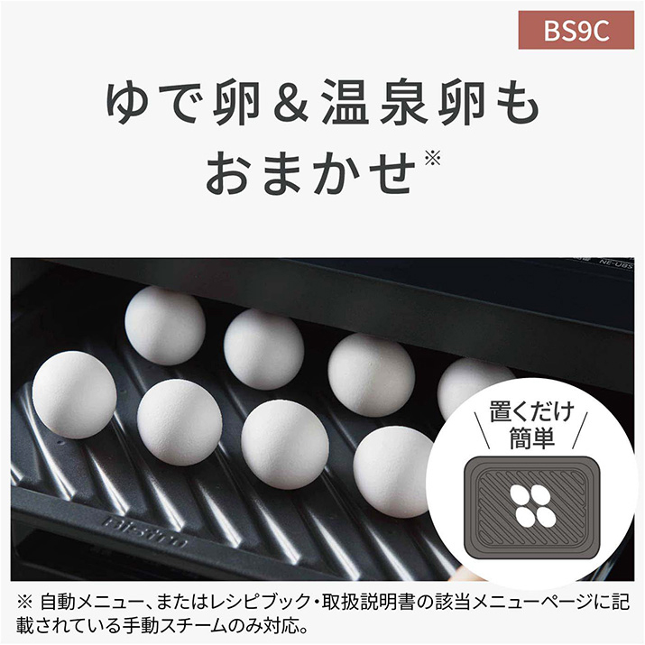 Bistro（Panasonic） パナソニック 30L スチームオーブンレンジ