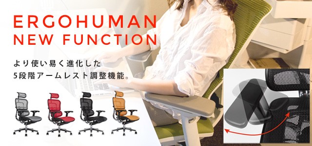 エルゴヒューマン（Ergohuman） 【旧タイプ適合】エルゴヒューマン