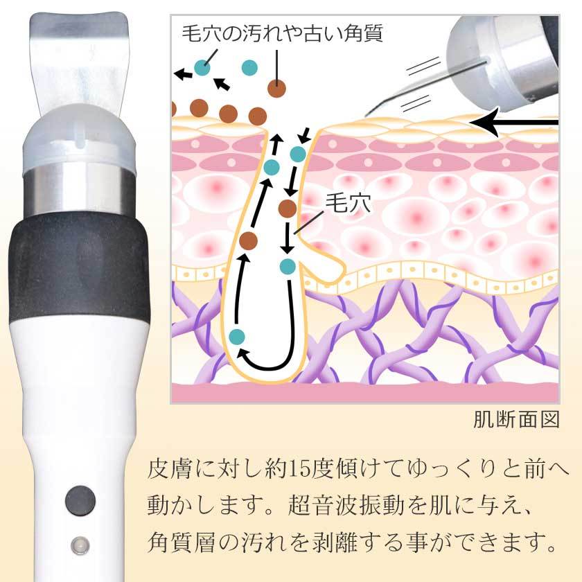 タカラベルモント 日本製 エステ業務用 スクライバー Exfoliater