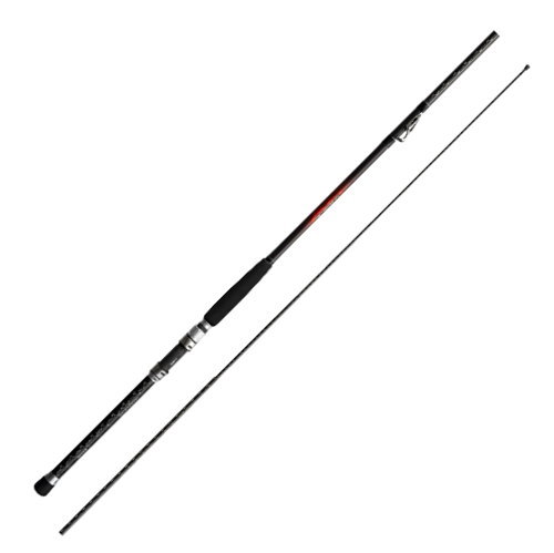 シマノ（SHIMANO） 19海春 30-300 : フィッシング カンパイ ヤフー店