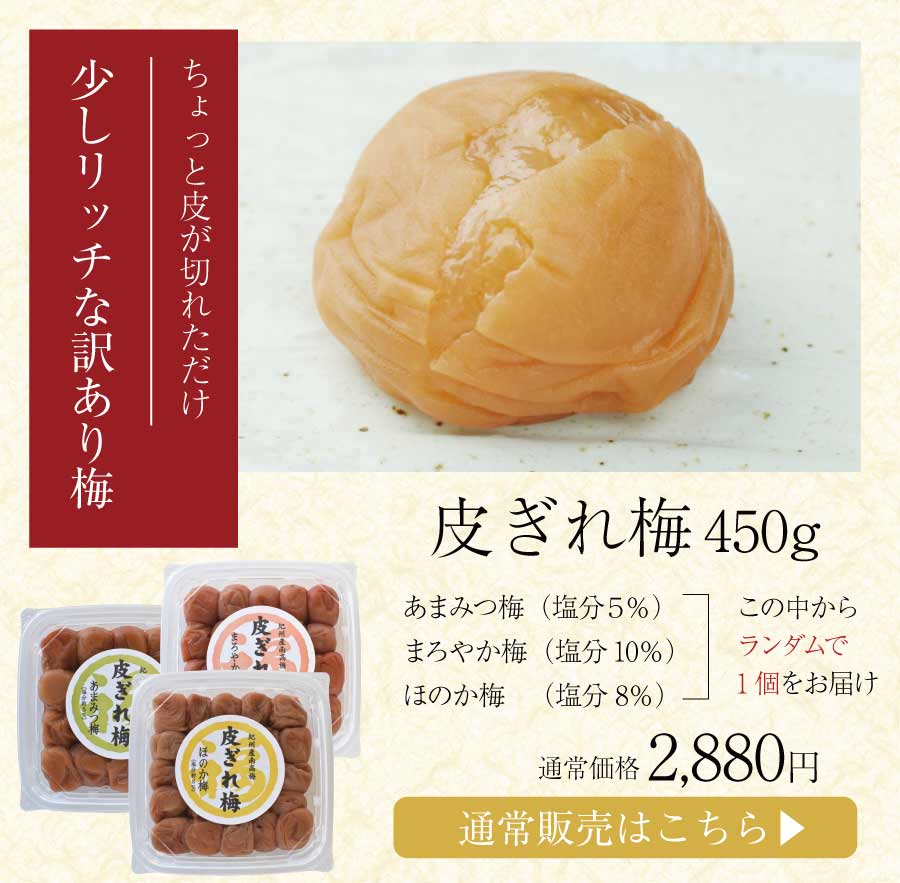 福梅本舗 福袋 2026 食品 梅干し はちみつ梅 紀州南高梅 お配り用 御