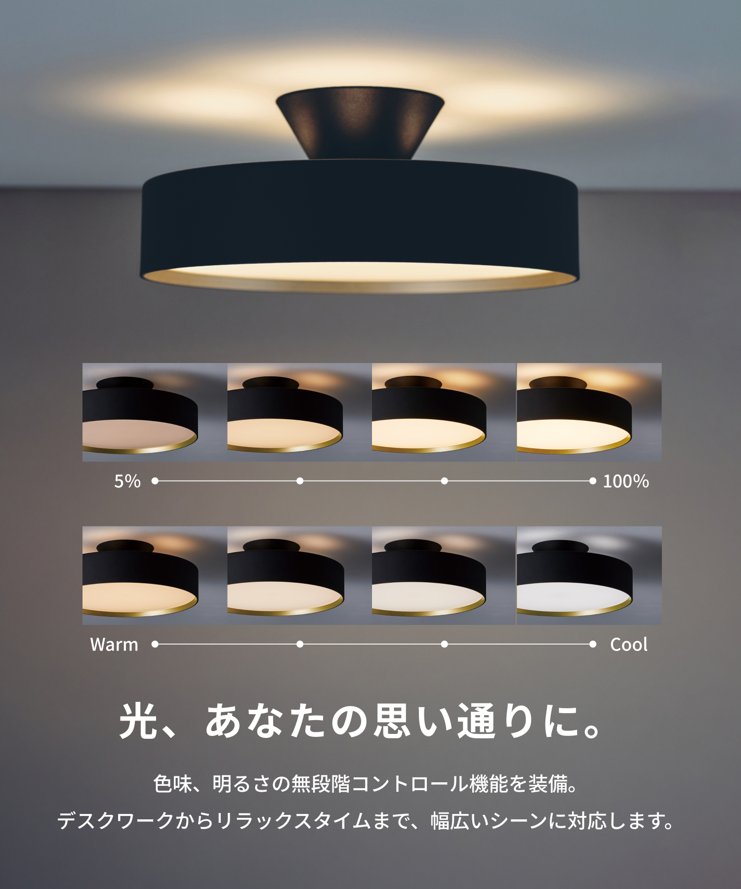 ARTWORKSTUDIO（アートワークスタジオ） シーリングライト 8畳 アート