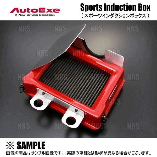 オートエクゼ AutoExe スポーツインダクションボックス (エア