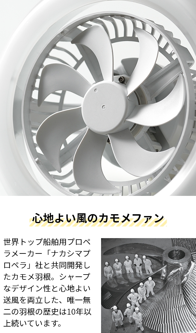 DOSHISHA（ドウシシャ） LEDライト サーキュライト 選べる豪華特典