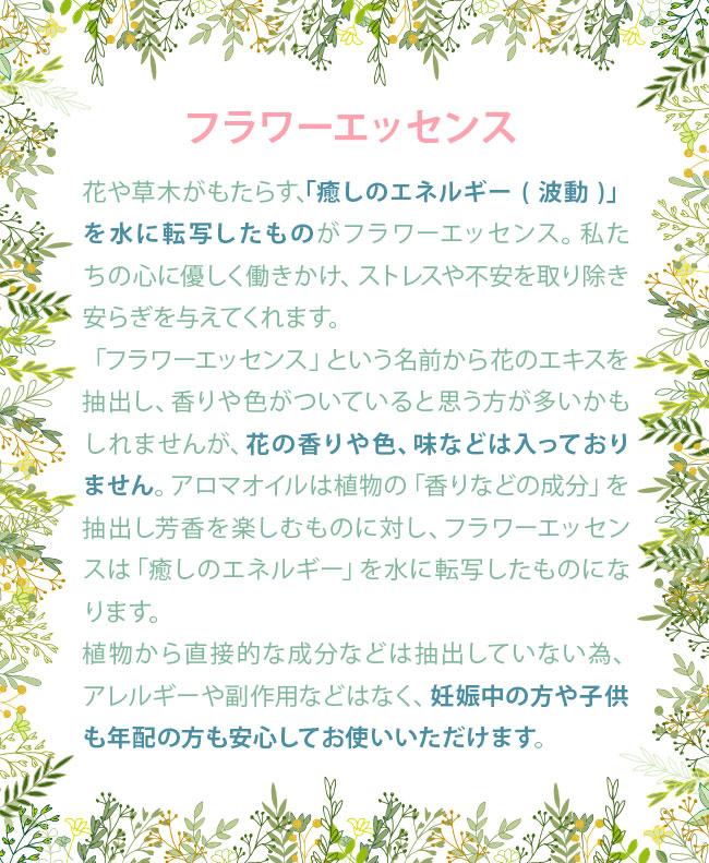 ECストロングスプレー ヒーリングハーブス フラワーエッセンス バッチ