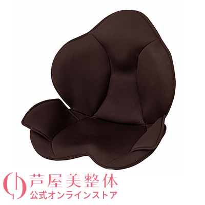 ブランド公式＆送料無料】芦屋美整体 骨盤スリムスタイリーエアー