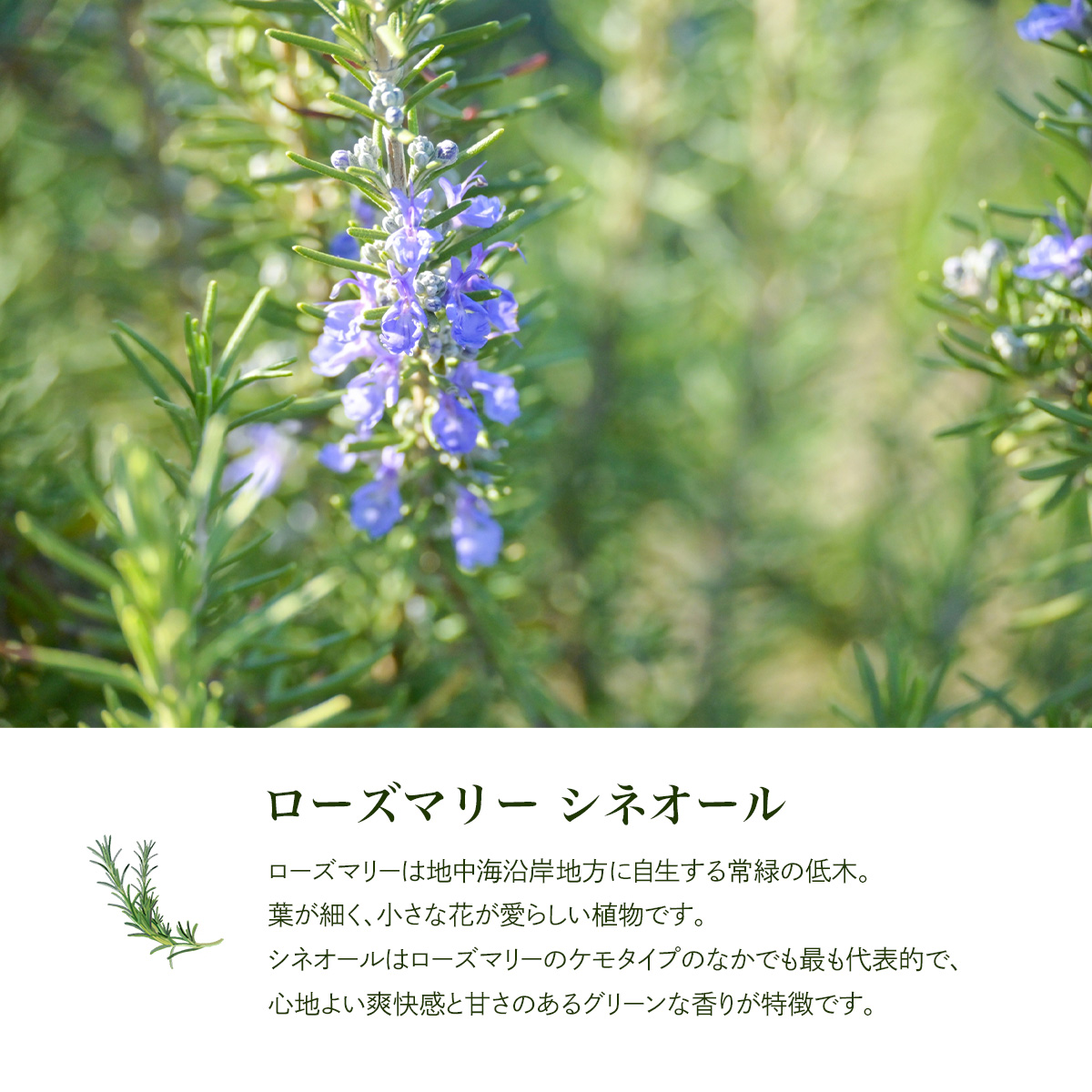 なえ様 PRANAROM ローズマリーシネオール他 合計3点 精油 なえ様