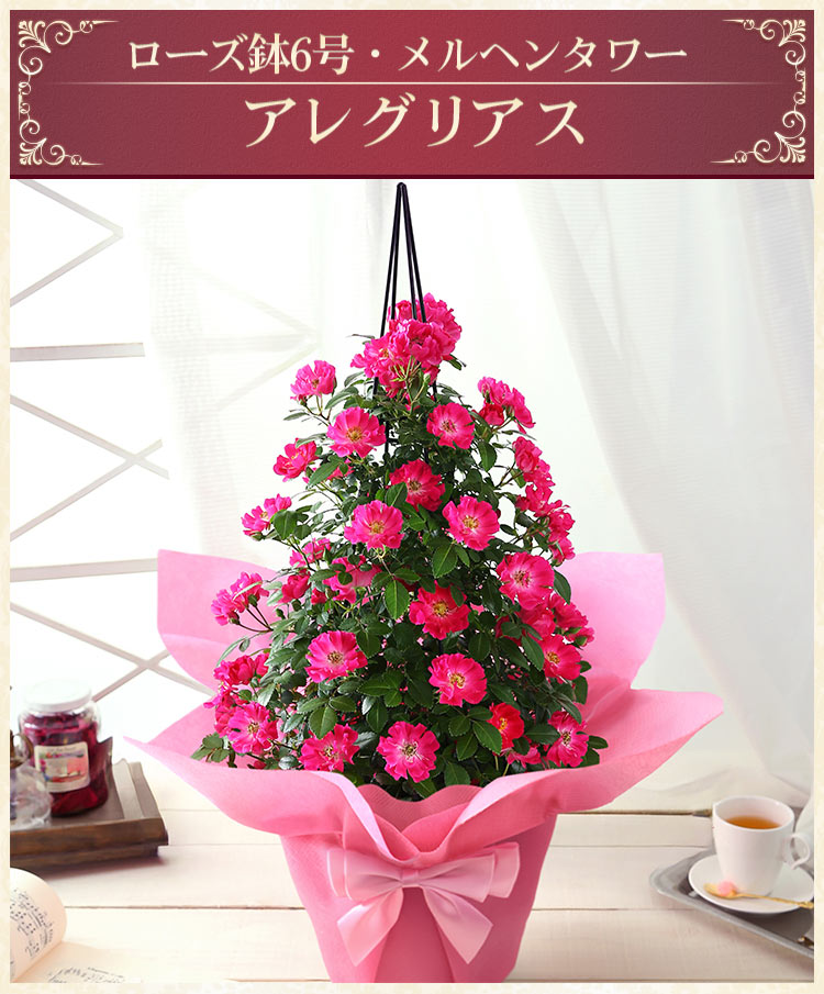 BunBunBee 早割実施中！ 母の日 2026 ギフト バラ 花 プレゼント