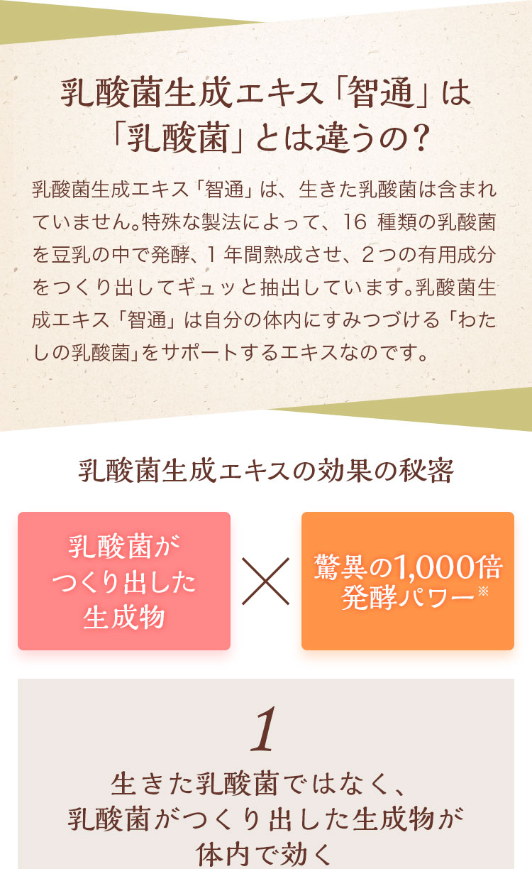 公式】乳酸菌生成エキス 智通 原液タイプ 10ml×30本 約5ヶ月分 乳酸菌