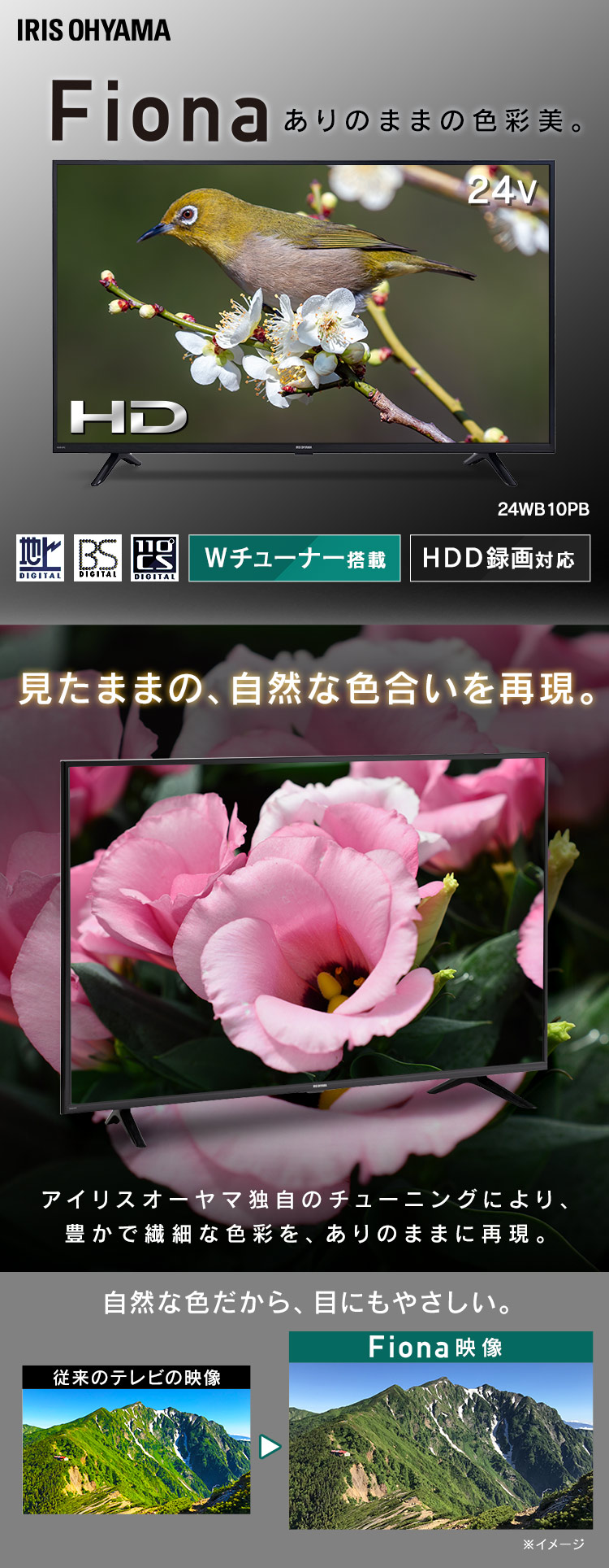 IRIS OHYAMA（アイリスオーヤマ） テレビ 24インチ 24型 24V型