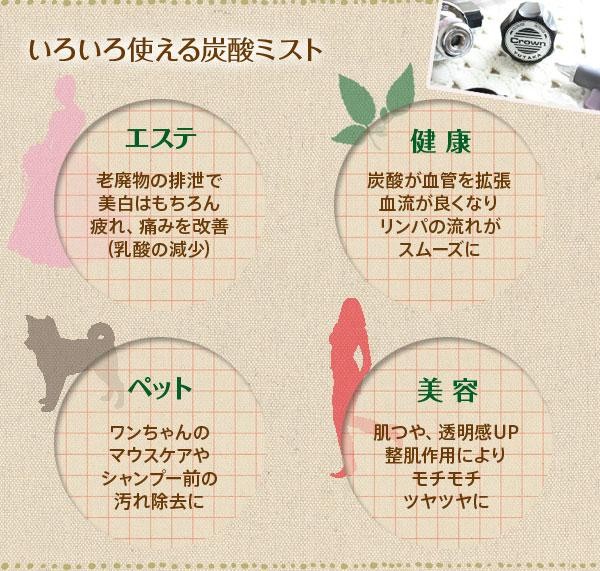 セラミド 炭酸ミスト 業務用 あすつく 送料無料 酸ミストシャワーを