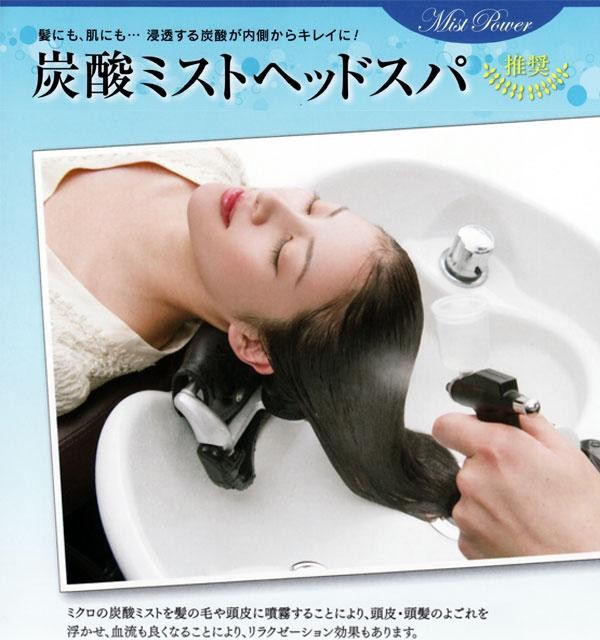 セラミド 炭酸ミスト 業務用 あすつく 送料無料 酸ミストシャワーを