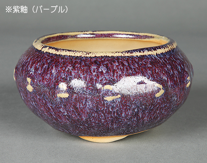 盆栽鉢 「広東色小鉢」 植木鉢 中国鉢 色小鉢 4号 11.5cm 小品盆栽