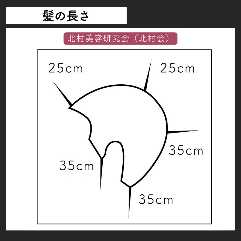 美容師 人毛100％ ヘアアレンジ セットアップウィッグ 茶髪 キタムラ