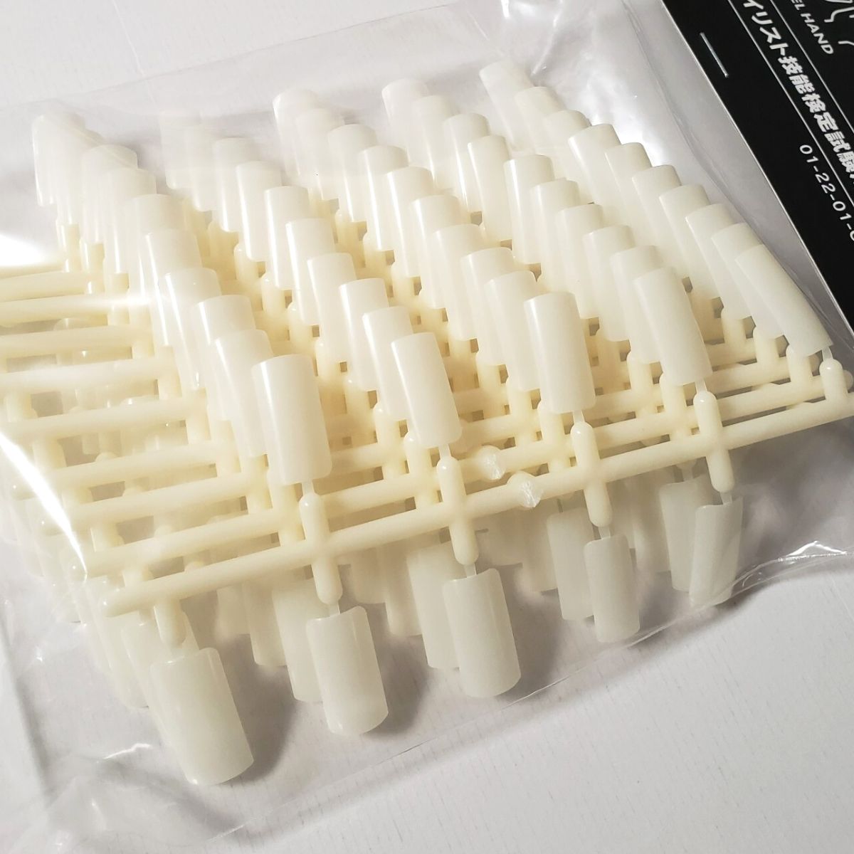 滝川（TAKIGAWA） JNEC認定ハンド用 ネイルチップ 10指 10セット ST