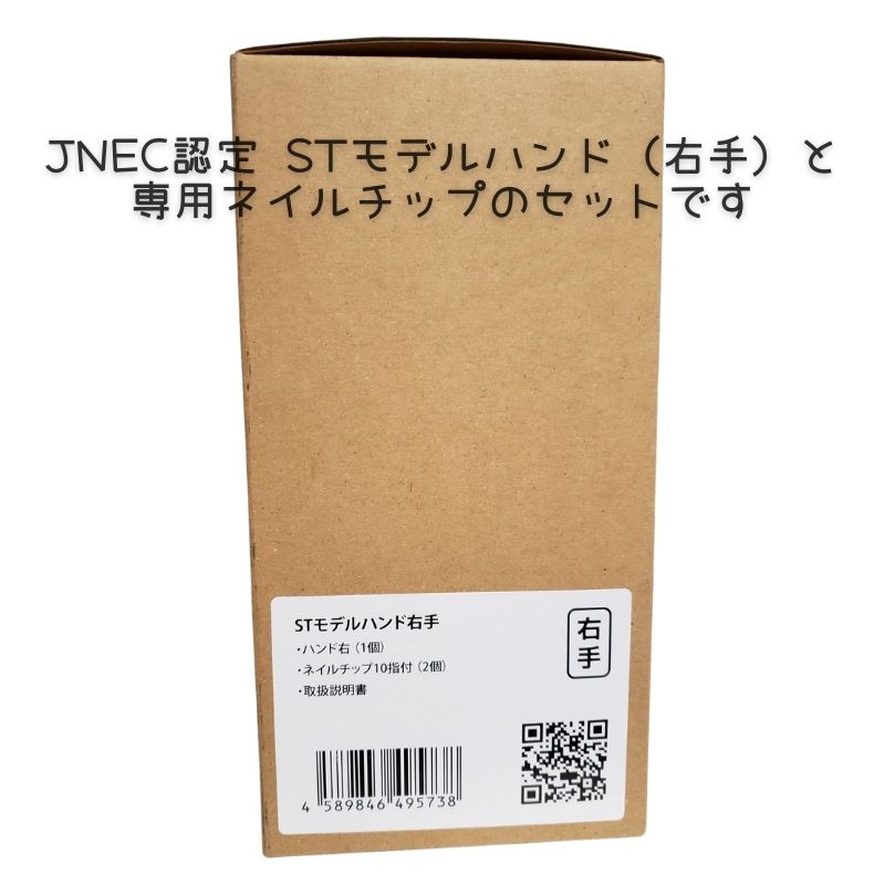 滝川（TAKIGAWA） JNEC認定ハンド STモデルハンド 右手 ネイルチップ