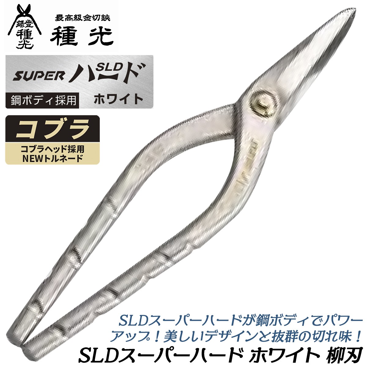 種光 SLD スーパーハード ホワイト コブラ 柳刃 240mm スリムヘッド型