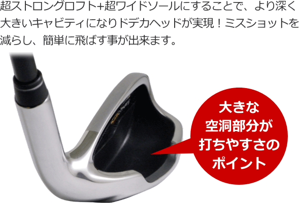 ポイント最大+19％☆3/1(月)23:59迄 アイアンセット (FD-60：標準