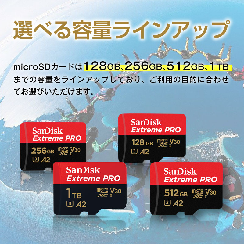 SanDisk（サンディスク） microSDXCカード 256GB SanDisk V30 A2 R